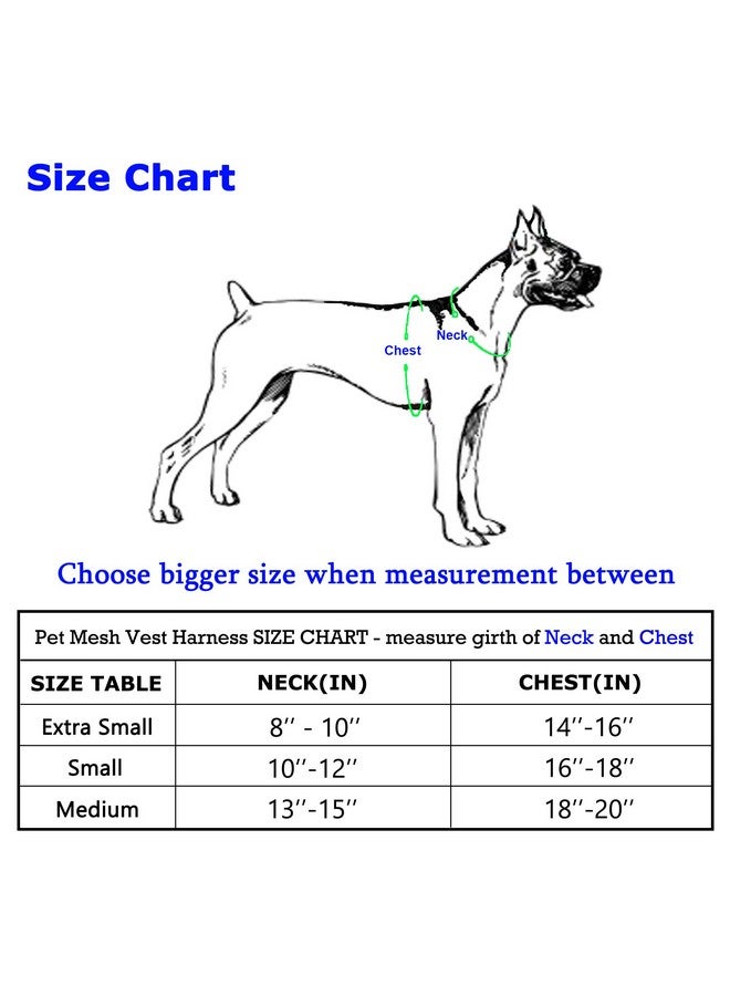 مايل هاي لايف | سترة شبكية سهلة الارتداء | مجموعة شتوية لأعياد الميلاد | إغلاق سهل قابل للتعديل للرقبة والصدر | كلاب وقطط صغيرة بوزن ٢٠ رطلاً | مقاس الصدر (١٨-٢٠ بوصة) | شجرة رمادية (متوسط) - Image 2