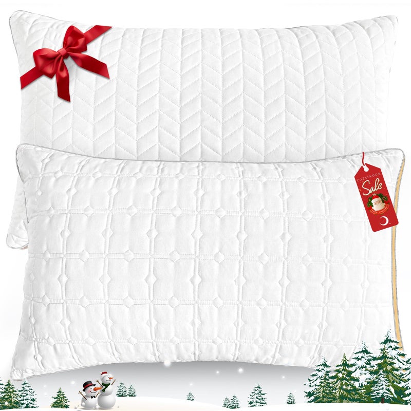Cooling Queen Size Pillows Set of 2 Hotel Quality Gusseted Bed Pillows for Side Back Stomach Sleepers Soft Supportive Gusseted Queen Pillows for Sleeping Down Alternative Filling