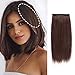 FEIPRO Clip in Hair Extensions Silky Straight Real Remy Human Hair Double Weft One Piece Wiglets Hair Pieces for Thinning Hair Invisible Hairpin Add Women Men Hair Volume Thick 10 inch#2 Dark Brown - Image 2