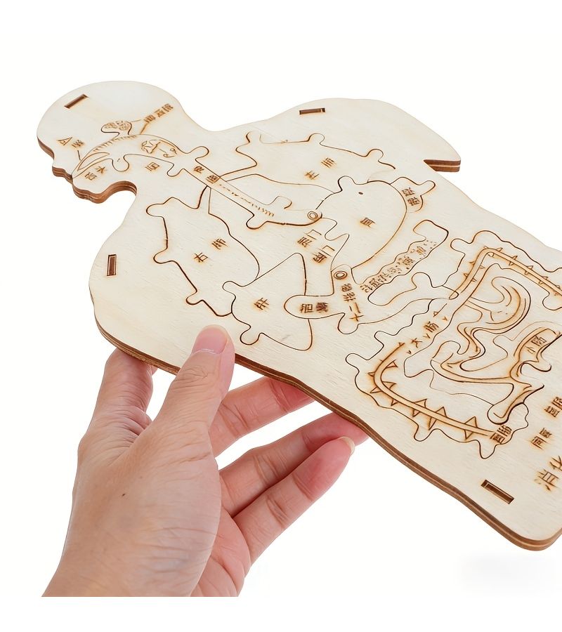 1 Pc Handmade Wooden Human Digestive System Model Science Education Craft DIY Kit Detachable Project For Creative Learning - Image 4