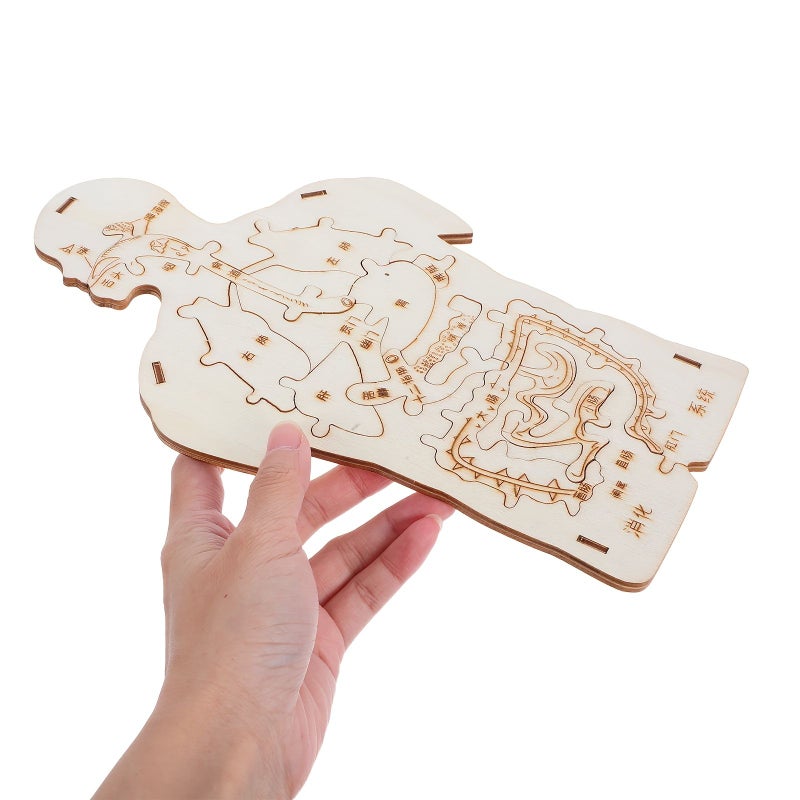 1 Pc Handmade Wooden Human Digestive System Model Science Education Craft DIY Kit Detachable Project For Creative Learning - Image 1