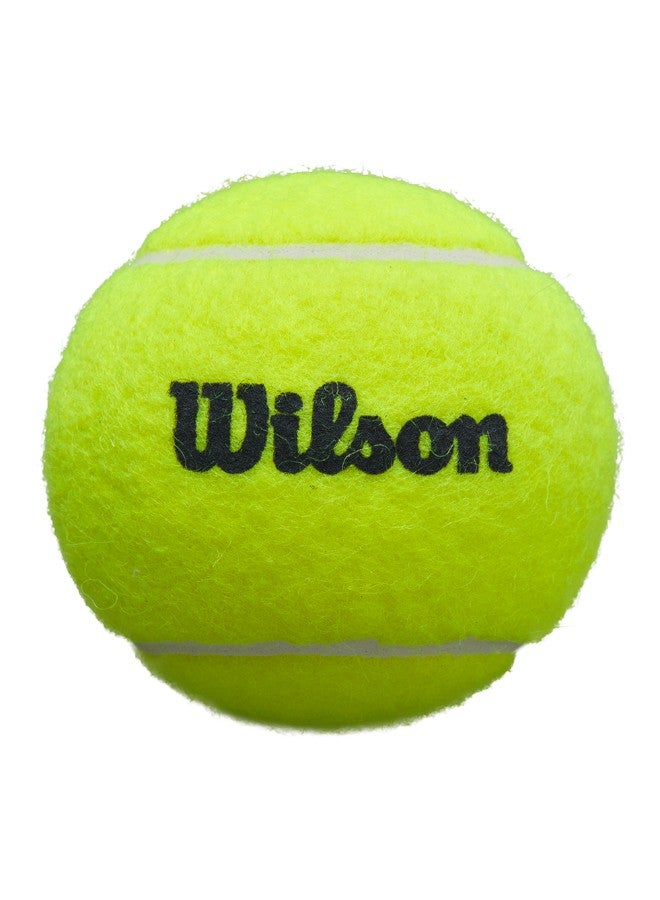 Wilson PREMIER PADEL SPEED 3-BALL CAN - Image 2