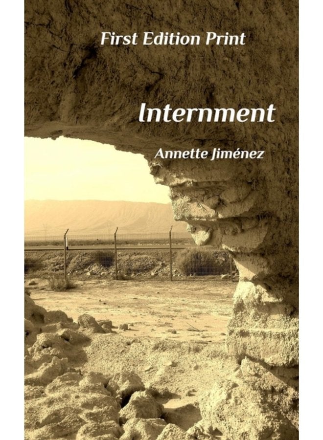 Internment - Paperback