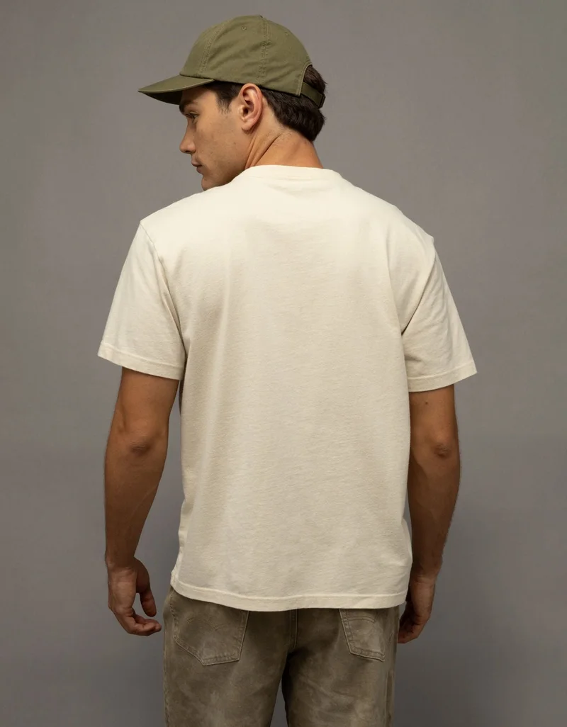American Eagle AE Standard Fit Graphic T-Shirt