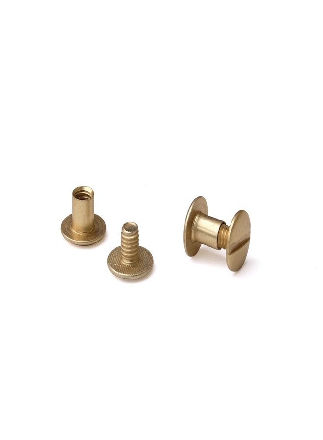 TruBind Aluminum Chicago Screw and Post Sets | 1/4 inch Post Length | 3/16 inch Post Diameter | Antique Brass-Colored | 100 Screws and 100 Posts - Image 1