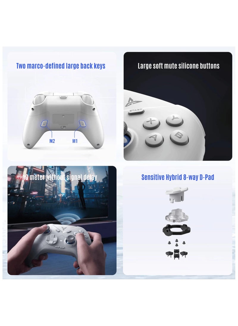 FlyDigi - Direwolf 3 Wireless Gaming Controller - PC/Switch/Mobile - Image 1