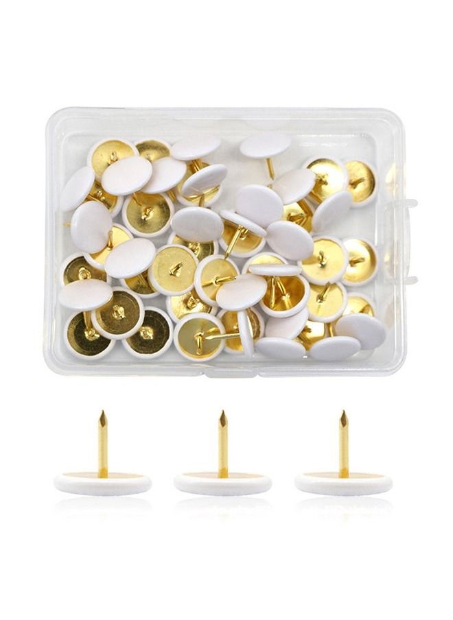 HS Push Pins Decorative Plastic Thumb Tacks Wall Tacks for Home, School, Map, Office, Photo Wall, Cork Board (White 100Pcs)  - Image 1
