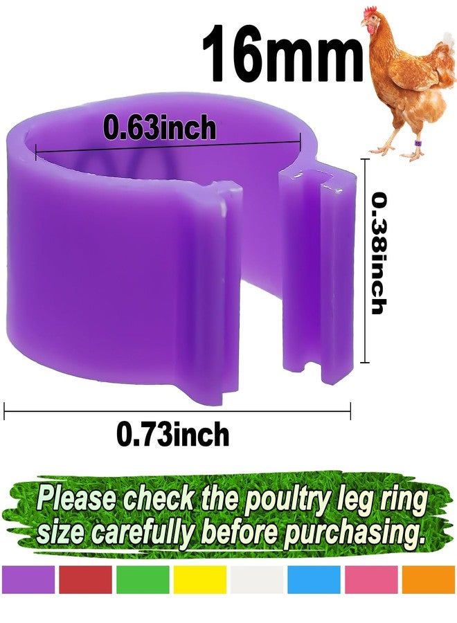 EZEELAI 80 Chicken Bands in 8 Colors with 16mm Bands for Layers Ducks Pigeons Goose Gamefowl - Image 2