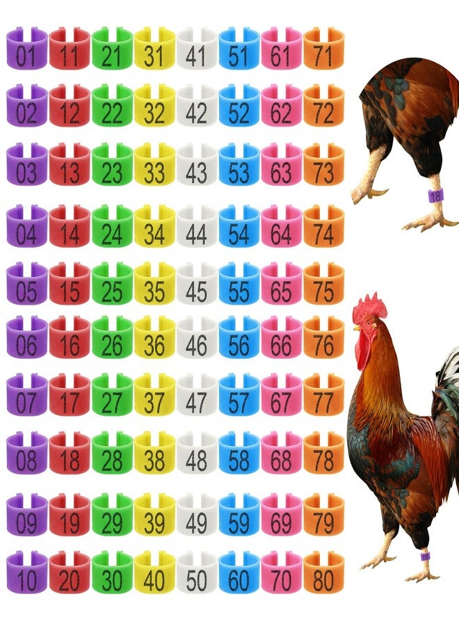 EZEELAI 80 Chicken Bands in 8 Colors with 16mm Bands for Layers Ducks Pigeons Goose Gamefowl - Image 1