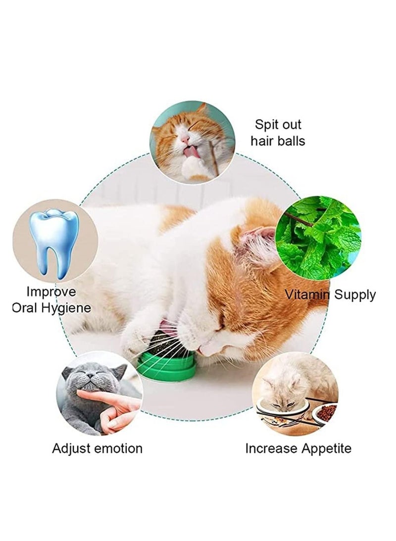 Generic Catnip Balls 4 in 1 Pure Natural Cat Mint Leaf Rotating Interactive Cat Toys/ Cats Edible Snacks Balls for Cats Kitten Teeth Cleaning - Image 5