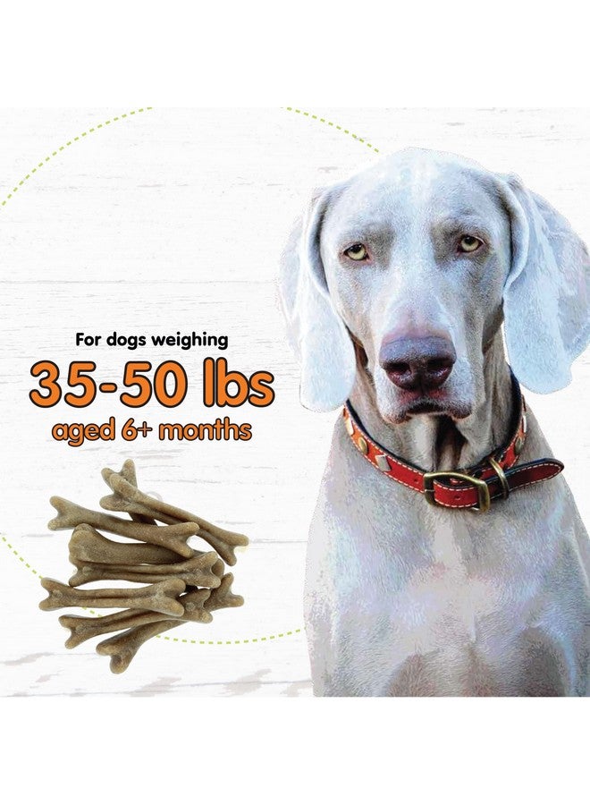 Fido Super Breath Dental Care Bones for Dogs - 8 Count Medium Dog Dental Treats for Medium Dogs (Made in USA) - Tasty Dog Dental Chews Help Reduce Plaque, Tartar Buildup, and Freshens Breath - Image 5
