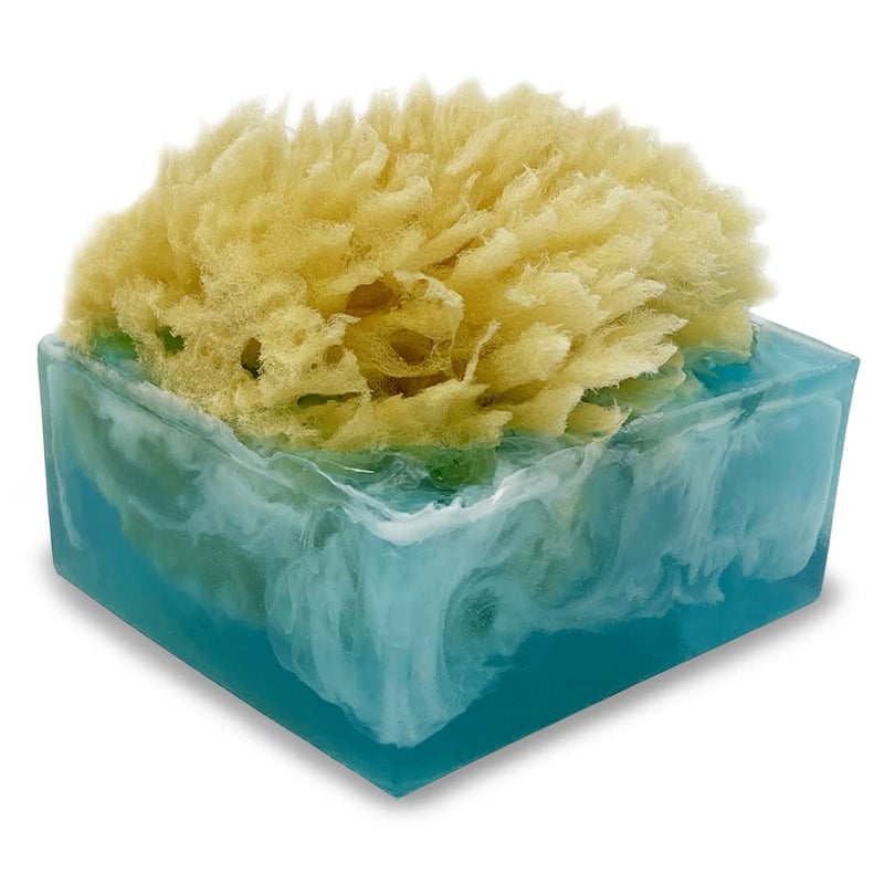Primal Elements Facets of the Sea SpongeBar Soap Pack of 2
