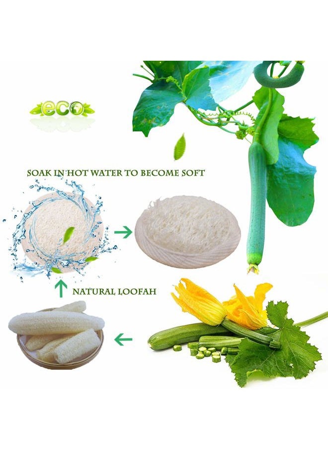 Sportout - 10 Packs Exfoliating Loofah Face Brush Cleanser and Massager, 100% Natural Loofah Sponge Manual Facial Cleansing Scrubber Handheld Pad, for Men and Women - Image 1
