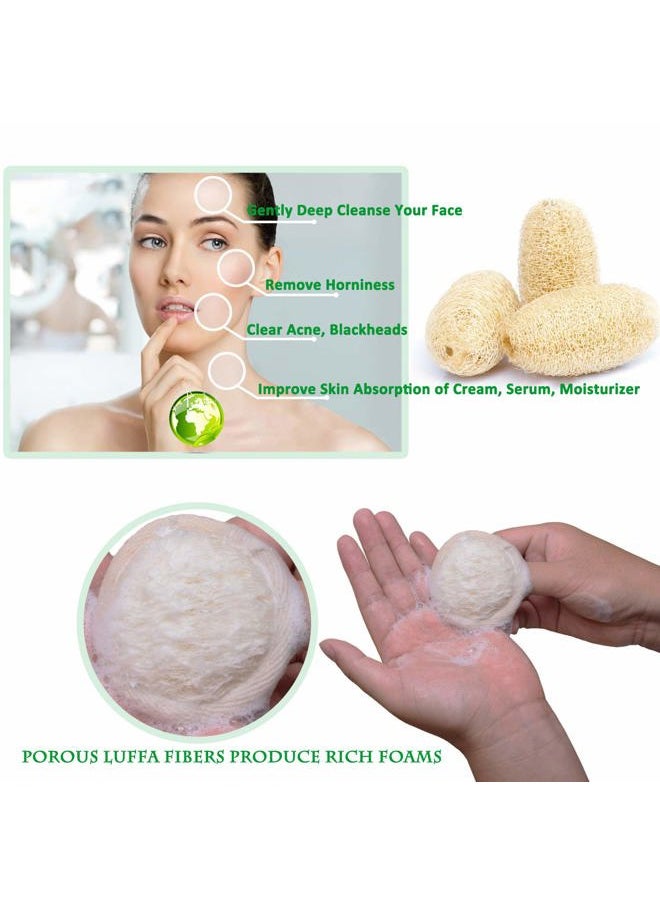 Sportout - 10 Packs Exfoliating Loofah Face Brush Cleanser and Massager, 100% Natural Loofah Sponge Manual Facial Cleansing Scrubber Handheld Pad, for Men and Women - Image 1