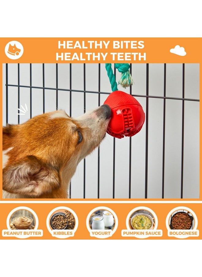 FOSSA Fossa 4-in-1 Crate Entertaing Puzzle Chew Toy for Dogs | Upgrade Crate Training Aids for Puppies | Food Treat Dispensing Dog Toys | Dog Teething Ball with Adjust Rope to Reduce Stress Anxiety  - Image 5