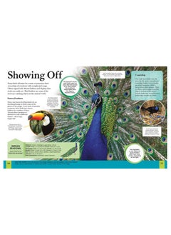 Children's Encyclopedia of Animals  - Image 1
