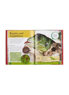 Children's Encyclopedia of Animals  - Image 3