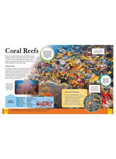 Children's Encyclopedia of Animals  - Image 2
