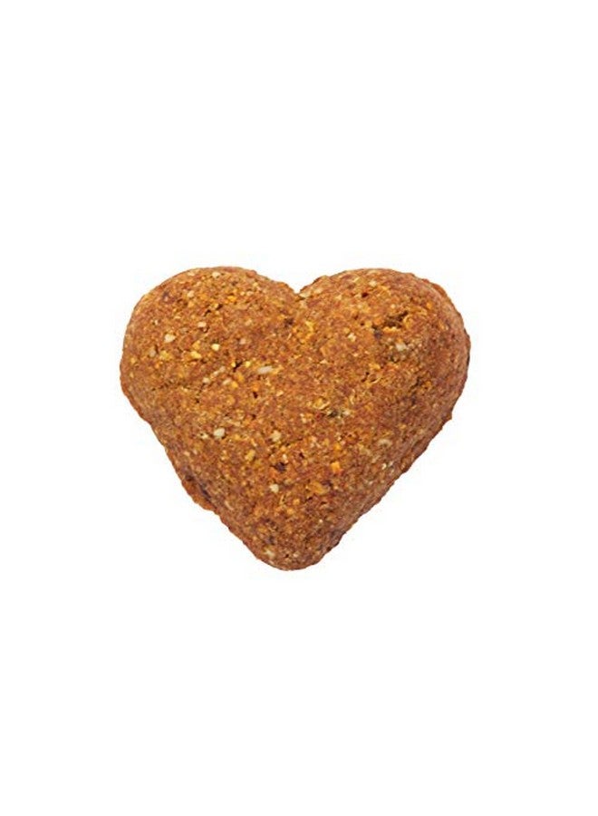 دارفورد وصفة سمك السلمون الخالية من الحبوب للكلاب، 12 أونصة - Image 4