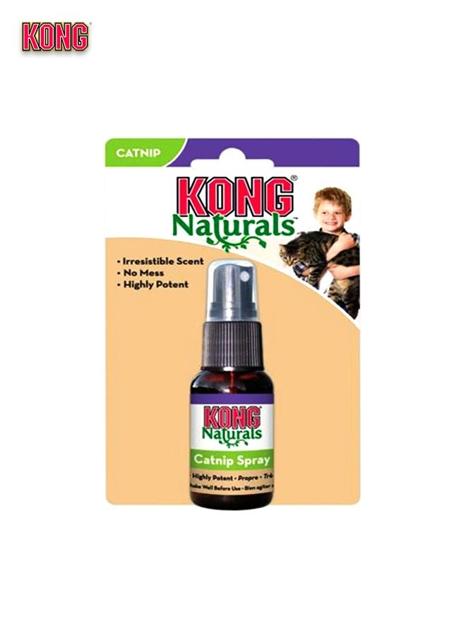 Kong Naturals Catnip Spray For Cats - 1 OZ