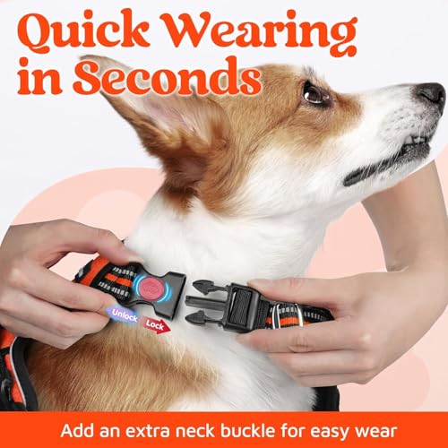 Doggo Bite Premium Reflective Dog Vest Harness| Soft Breathable| Padded Handle| Adjustable Straps & Luxury Buckle| No-Choke with Free Designer Leash-19mm| Chest (22-28inch) All Small Breeds 4-13Kg - Image 3
