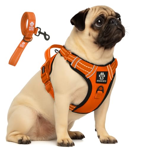 Doggo Bite Premium Reflective Dog Vest Harness| Soft Breathable| Padded Handle| Adjustable Straps & Luxury Buckle| No-Choke with Free Designer Leash-19mm| Chest (22-28inch) All Small Breeds 4-13Kg - Image 1