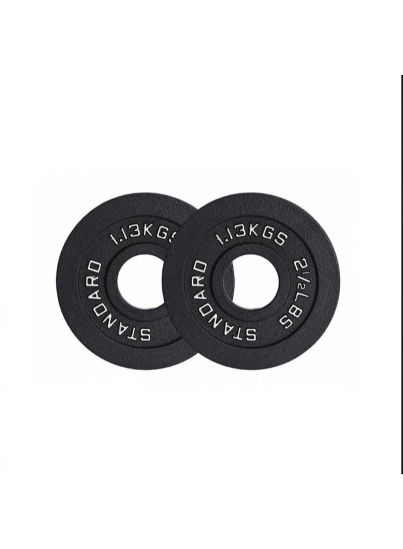2.5 lb Cast Iron Weight Plates for Barbell Strength Training and Weightlifting