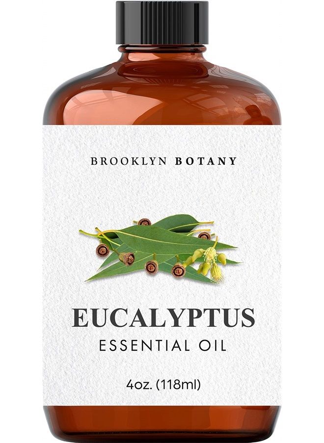 Brooklyn Botany زيت الأوكالبتوس العطري - نقي وطبيعي بنسبة 100% - زيت عطري علاجي بدرجة عالية مع قطارة - زيت الأوكالبتوس للعلاج بالروائح العطرية والناشر - 4 أونصة سائلة - Image 2