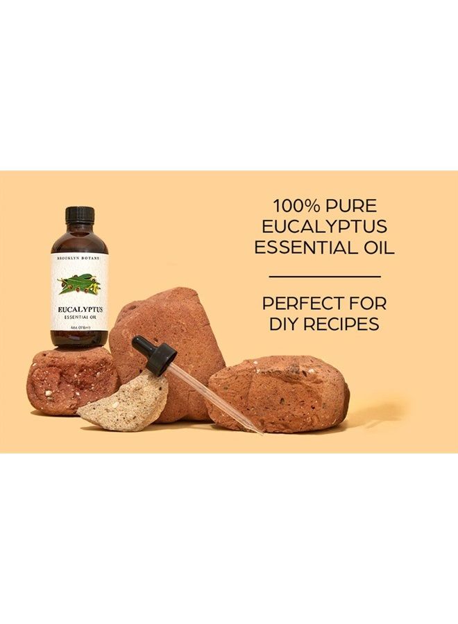 Brooklyn Botany زيت الأوكالبتوس العطري - نقي وطبيعي بنسبة 100% - زيت عطري علاجي بدرجة عالية مع قطارة - زيت الأوكالبتوس للعلاج بالروائح العطرية والناشر - 4 أونصة سائلة - Image 5
