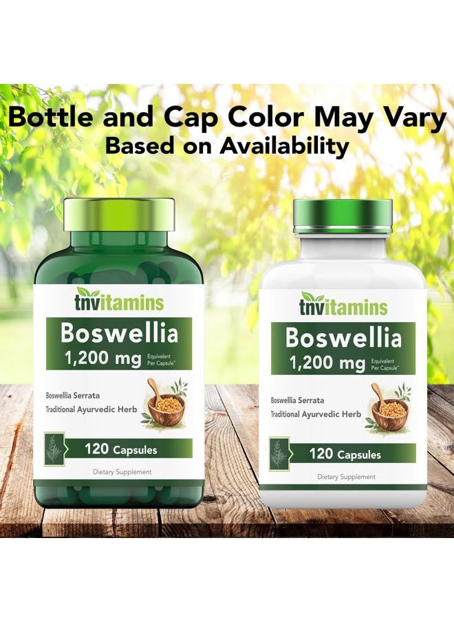 Boswellia Serrata Herbal Extract Capsules | 1200 MG/Capsule (120 Capsules) | Joint Support Supplement* | Ayurvedic Herb: Indian Olibanum/Frankincense