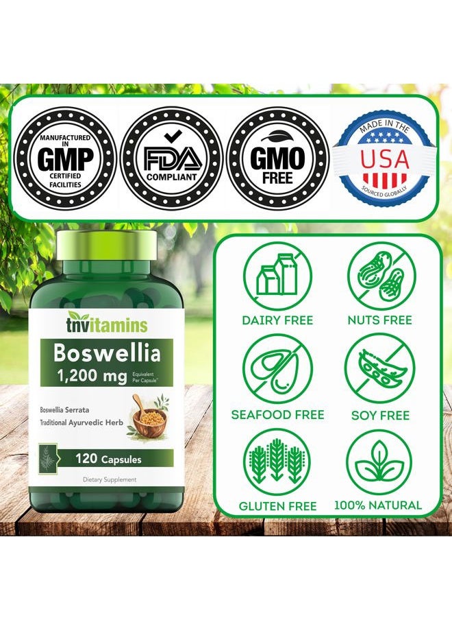 Boswellia Serrata Herbal Extract Capsules | 1200 MG/Capsule (120 Capsules) | Joint Support Supplement* | Ayurvedic Herb: Indian Olibanum/Frankincense