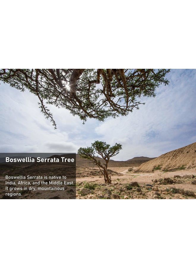 Boswellia Serrata Herbal Extract Capsules | 1200 MG/Capsule (120 Capsules) | Joint Support Supplement* | Ayurvedic Herb: Indian Olibanum/Frankincense
