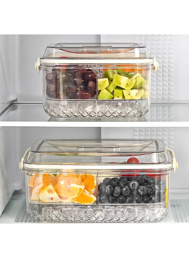 هومستر صينية تقديم جليد مبرد مقسمة مع غطاء ومناولة كريستال صافية كبيرة الفواكه صينية تقديم الطعام للنزهة في الهواء الطلق شاطئ السفر طبق حفلة مثلج للفواكه المشهيات الخضروات سلطة - Image 4