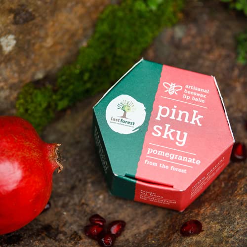 Last Forest Beeswax Lip Balm for Men & Women 5g, Non-sticky, 24 Hrs Lip Moisturizer For Dry And Chapped Lips, SPF with Vitamin A, Nourish & Protect (Pomegranate) - Image 2