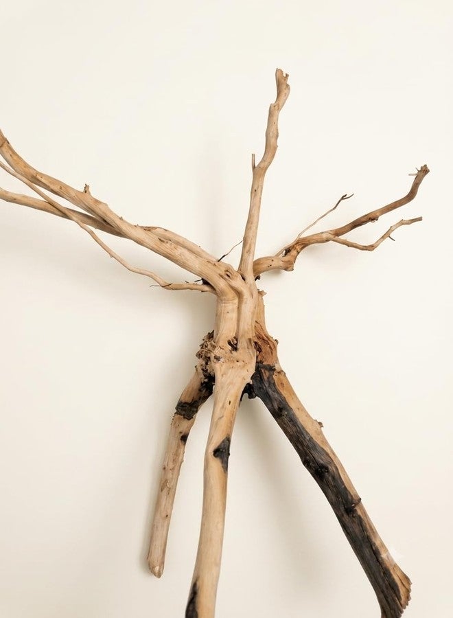 Natural Aquarium Driftwood Branch for Fish Tank Decor 35-40cm - Image 2
