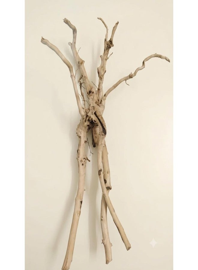 Natural Aquarium Driftwood Branch for Fish Tank Decor 35-40cm - Image 1