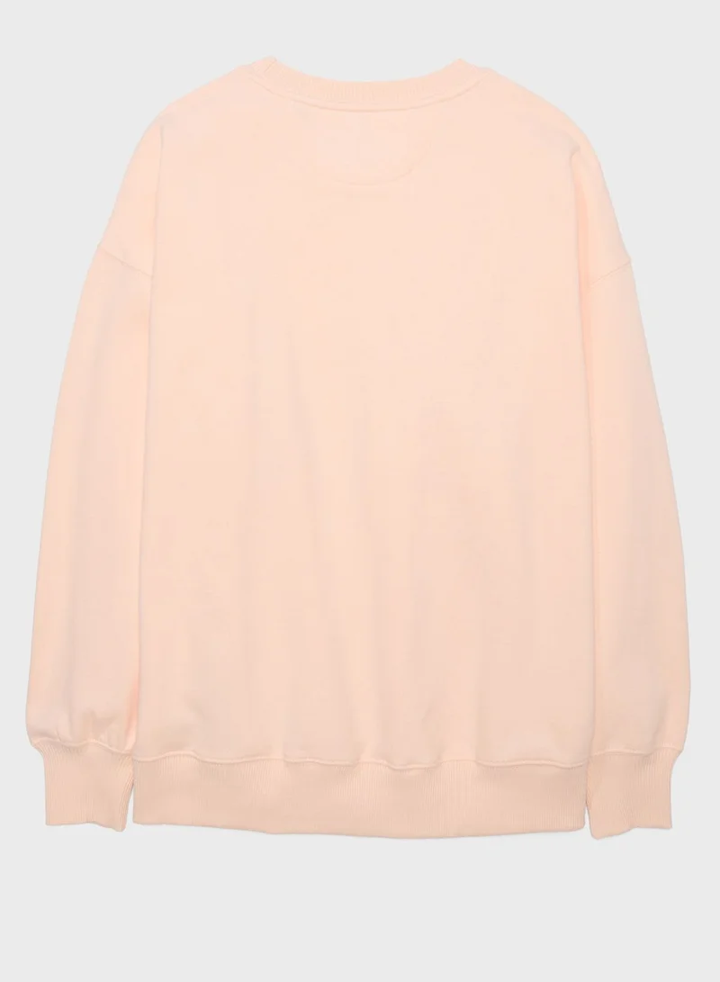 American Eagle Maine Sweatshirt