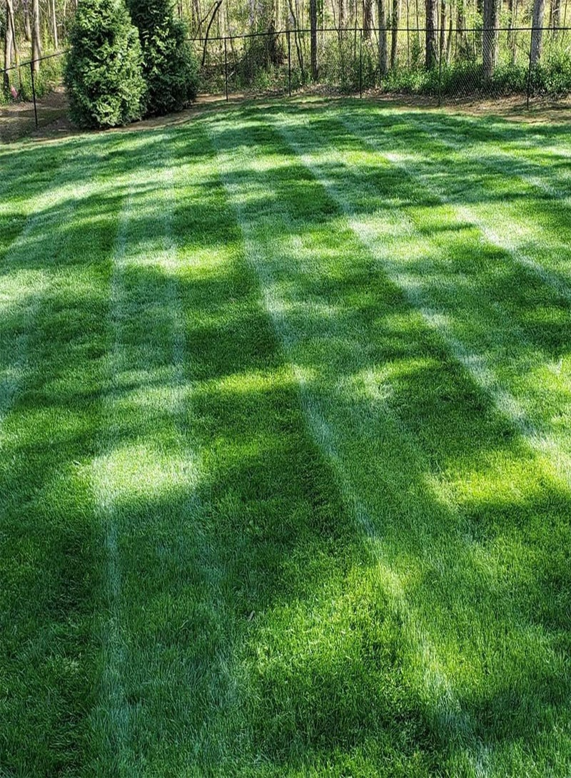 GGOOT Midnight Kentucky Bluegrass Seed - 50 gs. Cold & Drought Tolerant, Sun-Loving Lawn Grass Seed, w/High Traffic Tolerance & Deep Root System, OptiGrowth Coated for Better Establishment - Image 1