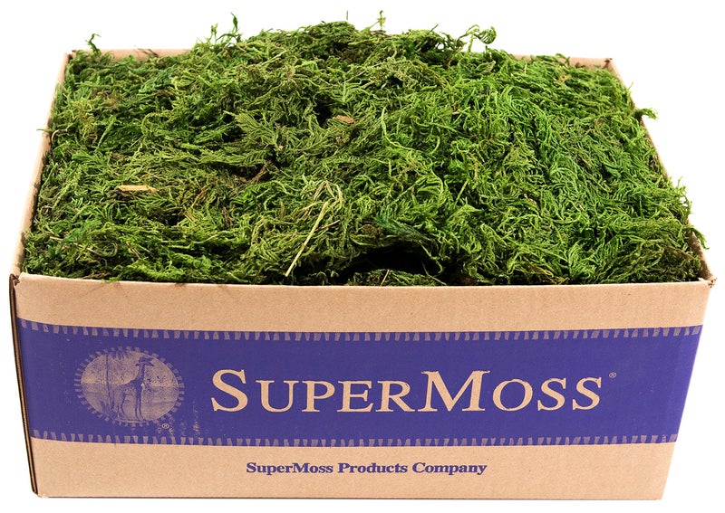 SuperMoss (25325) Forest Moss Preserved, Fresh Green, 3 Pounds - Image 1
