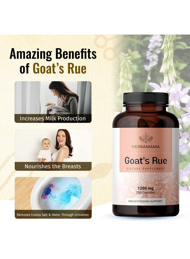 HERBAMAMA Goat Rue Capsules Galega Officinalis Nutritional Supplement 1200 Mg 250 Capsules Promotes Milk Flow Lactation & Mammary Tissue Development Nongmo Support For Breastfeeding - Image 5