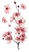 MAKTEM 3 PCS Red Cherry Blossom Car Decal Sticker Sakura Red Blossom Flower Design Vinyl Sticker for Window Bumper Mirror Hard case Floral Flower Waterproof Decoration 1 - Image 2