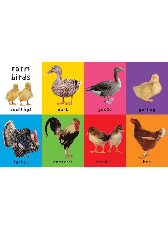 First Farm Words: First 100 Soft to Touch  - Image 4