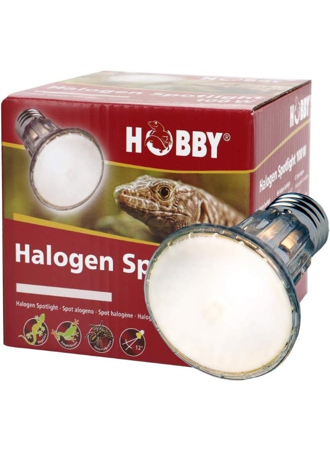 Hobby 37393 Diamond Halogen Spotlight, 100 W standard - Image 1