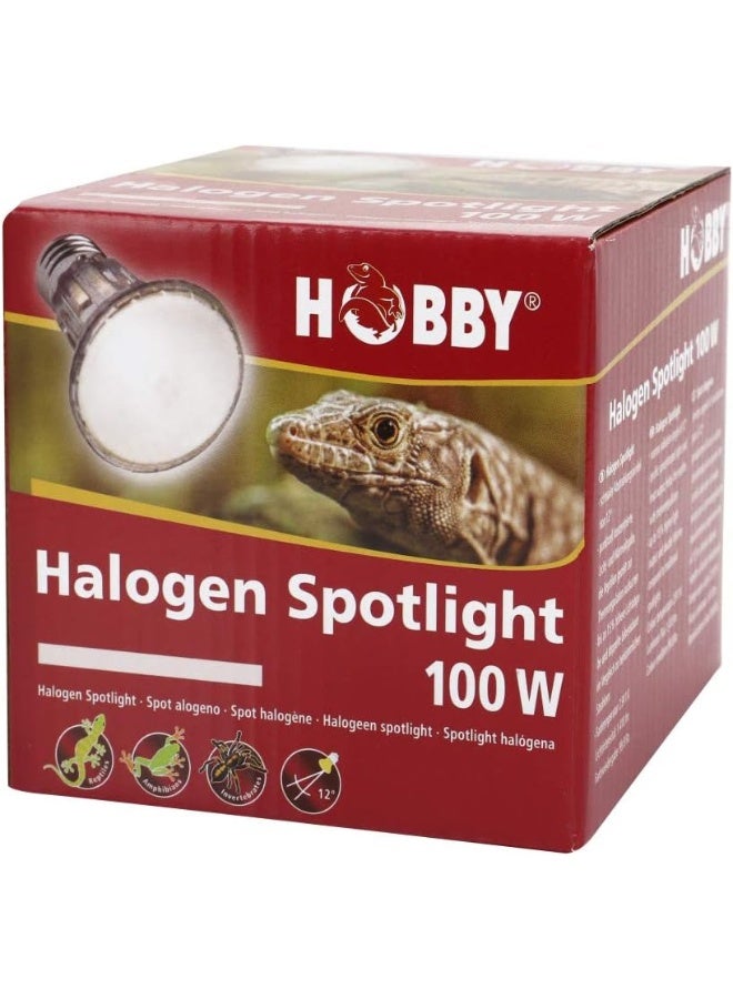 Hobby 37393 Diamond Halogen Spotlight, 100 W standard - Image 3