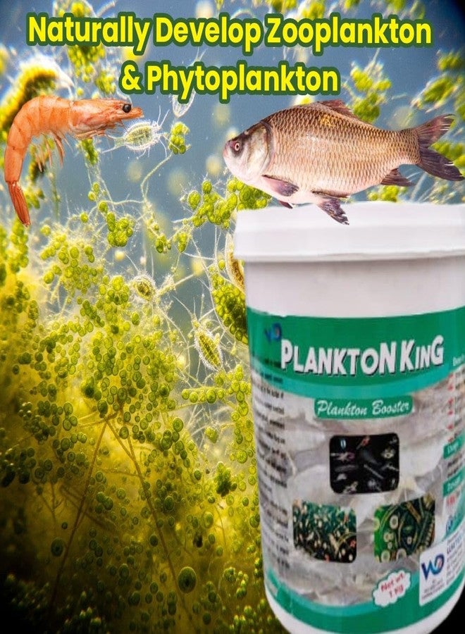 WD DE TOX Plankton King مُعزز نمو العوالق لأحواض الأسماك والبحيرات | سماد لنمو الدياتومات والعوالق النباتية | قابل للذوبان في الماء بنسبة 100% | نمو سريع | لا يترك أي رواسب | حل اقتصادي - Image 3