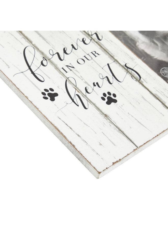 اوكونا اوتبوست إطار صور تذكاري خشبي على الطراز الريفي للحيوانات الأليفة، إطار صور عاطفي للكلاب مقاس 9.5 × 7.9 بوصة لتخليد ذكرى الحيوانات الأليفة التي توفيت، لعرضها إلى الأبد في قلوبنا للصور مقاس 4 × 6 بوصات (أبيض) - Image 3