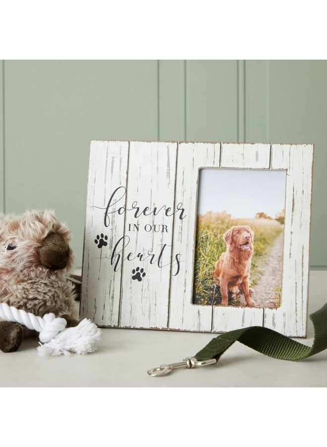 اوكونا اوتبوست إطار صور تذكاري خشبي على الطراز الريفي للحيوانات الأليفة، إطار صور عاطفي للكلاب مقاس 9.5 × 7.9 بوصة لتخليد ذكرى الحيوانات الأليفة التي توفيت، لعرضها إلى الأبد في قلوبنا للصور مقاس 4 × 6 بوصات (أبيض) - Image 2