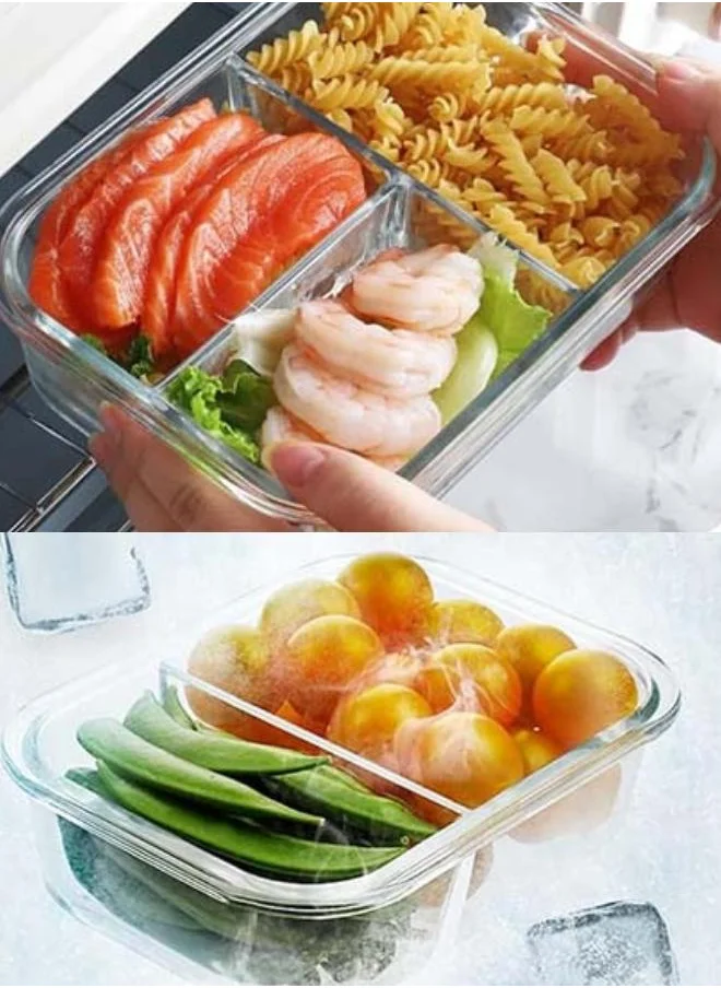 QUESERA Glass Bento Box with 2 and 3 compartments- pack of 4