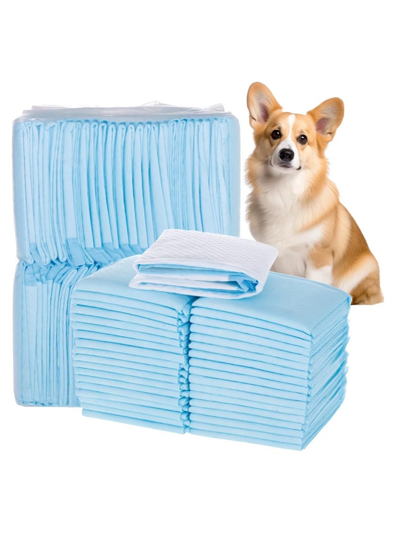 إي سي في في وسادات بول مانعة للتسرب للاستخدام مرة واحدة، عبوة من 40 قطعة، وسادات تدريب سريعة الجفاف فائقة الامتصاص للحيوانات الأليفة مع 7 طبقات للاستخدام في المرحاض والتدريب - 60 × 60 سم - Image 1