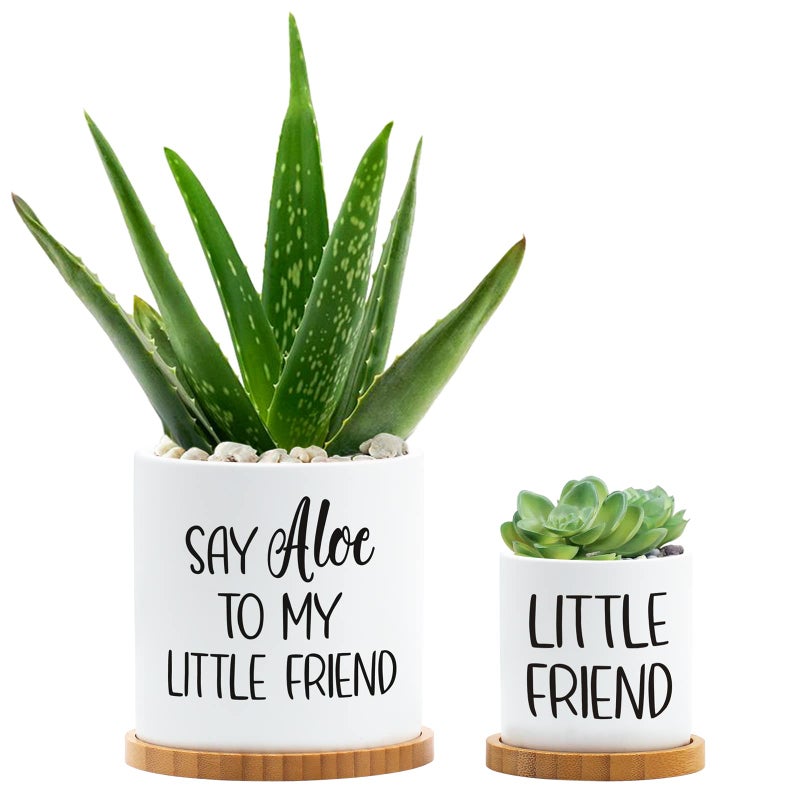 Tuitessine Tuitessine Say Aloe to My Little Friend Planter Plant Lover Set of 2 Spring Funny Pun Flower Pot with Bamboo Tray Ceramic Indoor Succulent Hole Spring Birthday Housewarming Gifts No Plants
